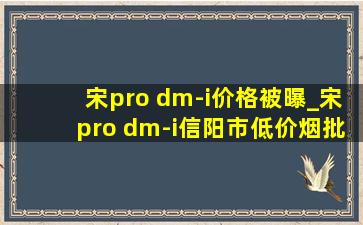 宋pro dm-i价格被曝_宋pro dm-i信阳市(低价烟批发网)落地价